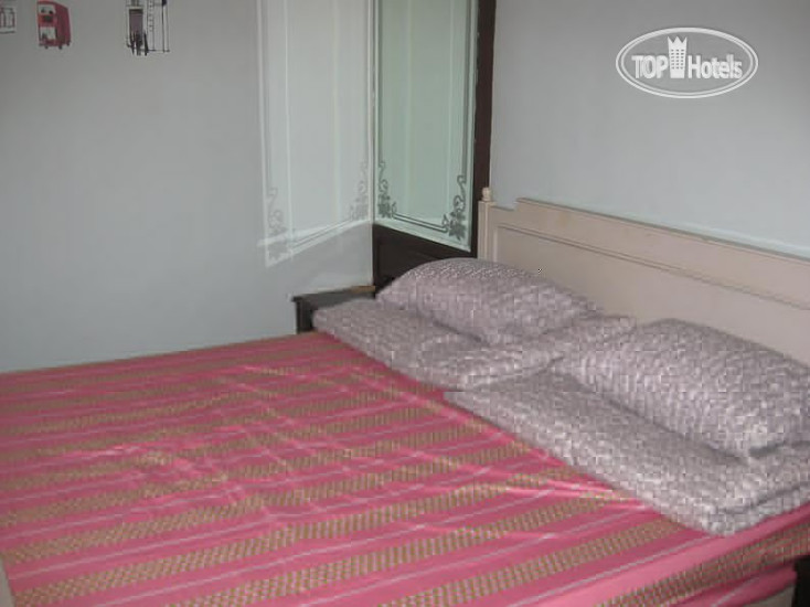 Новые добавленные фото туристов Cow Hostel 1*