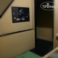 Lilly Hostel 