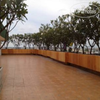 Latin Garden
