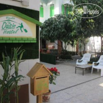 The Oasis Hostel 