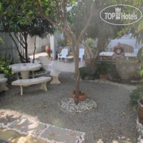 The Oasis Hostel 