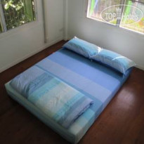 The Oasis Hostel 
