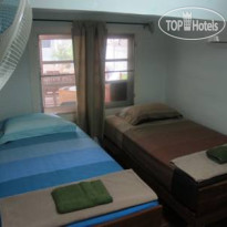 The Oasis Hostel 