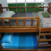 The Oasis Hostel 