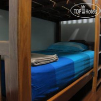 The Oasis Hostel 