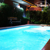 Orchid Resort 