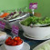Sawasdee Sukhumvit Inn 