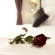 S Sukhumvit Suites 