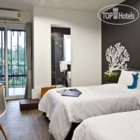 Blu Monkey Bed & Breakfast 