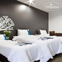 Blu Monkey Bed & Breakfast 