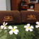 Silla Patong Hostel 
