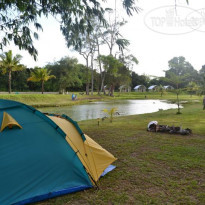 Phuket Campground 