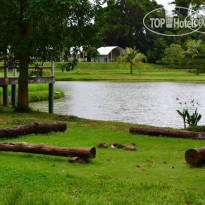 Phuket Campground 