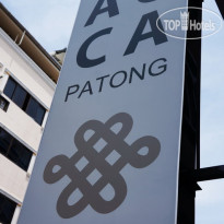 Acca Patong 