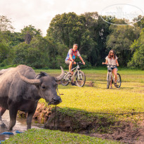 Akyra Beach Club Phuket Bicycle tour