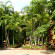 Areca Resort and Spa 