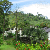 P.S Hill Resort 