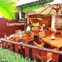 New Forest Patong 