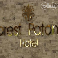 Forest Patong Hotel 3*