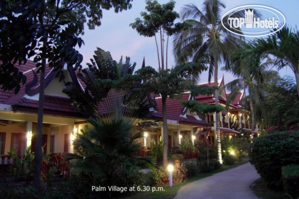 Фотографии отеля  Palm Village 3*