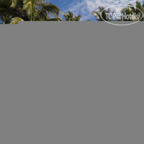 King Busch Reggae Beach