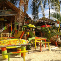 King Busch Reggae Beach