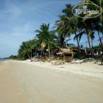 King Busch Reggae Beach