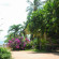 Sukasem Bungalow 