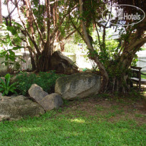 Banyan House Bed @ Breakfast 