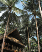 Four Seasons Resort Koh Samui 5*