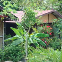Tropical Garden Lounge Hotel & Resort 