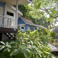 Koh Tao Hillside Resort 