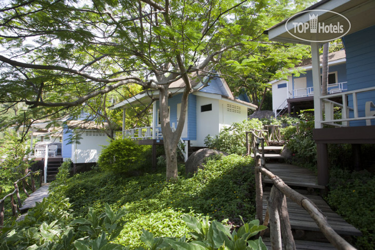 Фото Koh Tao Hillside Resort