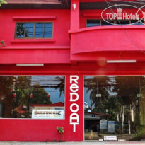 Red Cat Guesthouse 