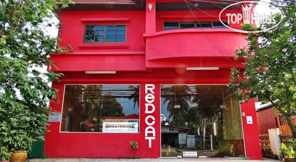 Фотографии отеля  Red Cat Guesthouse 2*