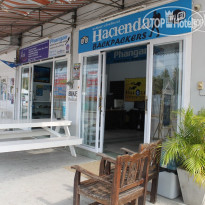 Hacienda Backpackers 