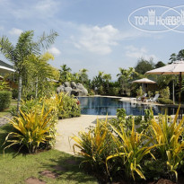 Palm Garden Resort 