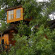 Pai Treehouse Resort 