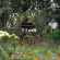 Lychee Garden Bungalow 