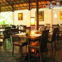 Fern Resort 