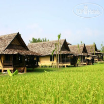 Phu Pai Art Resort 