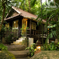 Rain Forest Resort 