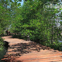 The Blue Sky Resort Koh Phayam 