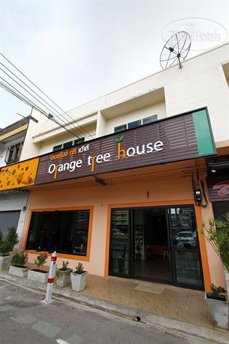 Фото Orange Tree House