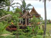 Photos Palm Paradise Resort