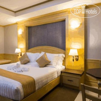 The Lion King Hotel