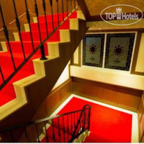 The Lion King Hotel