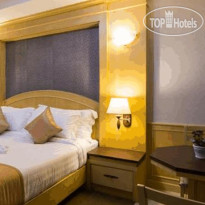 The Lion King Hotel