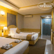 The Lion King Hotel
