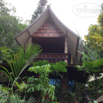 Khao Sok Resort - Las Orquideas (Orchid Resort) 